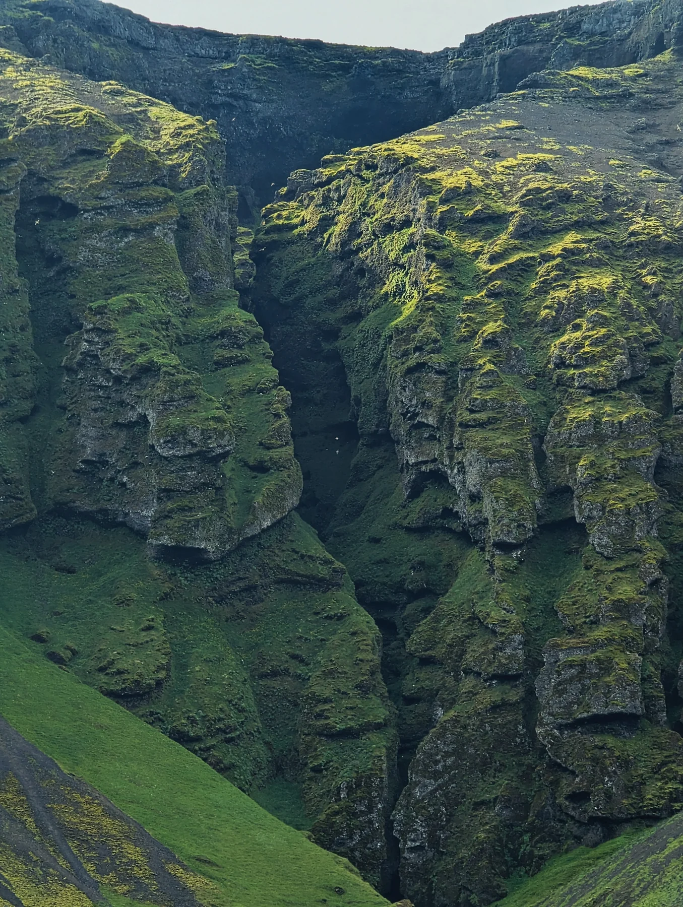 A green canyon cut by a waterfall