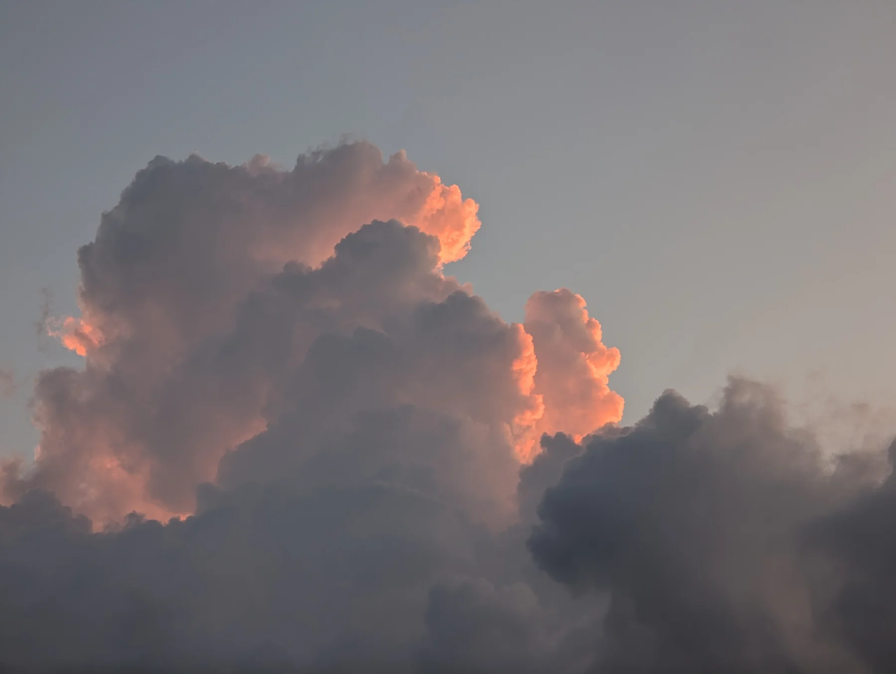 A cloud lit pink by the setting sun